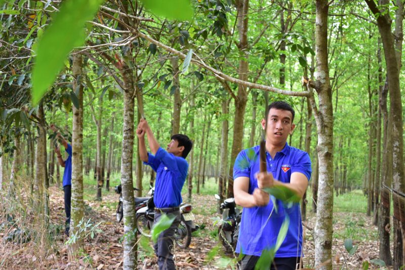 Đoàn Thanh niên Nông trường cao su Long Tân: Chung tay xây dựng Nông thôn mới