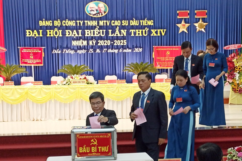 Đảng bộ Công ty TNHH MTV Cao su Dầu Tiếng “thực hiện thắng lợi Nghị quyết Đại hội lần thứ XIII đã đề ra”