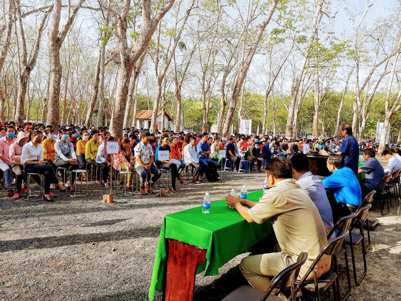 Nông trường Cao su Trần Văn Lưu sôi nổi ra quân thu hoạch mủ năm 2021