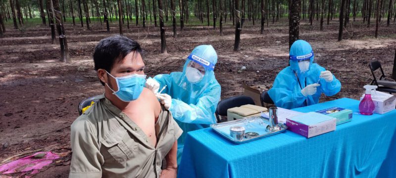 Công ty TNHH MTV Cao su Dầu Tiếng, hơn 79% cán bộ, công nhân lao động đã được tiêm Vaccine ngừa Covid-19