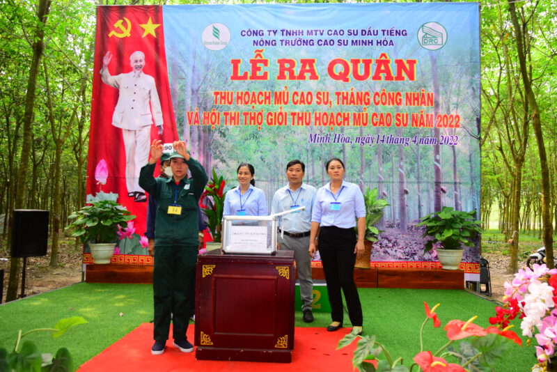 Nông trường Cao su Minh Hòa, trên 96% công nhân khai thác tham gia hội thi thợ giỏi thu hoạch mủ cao su