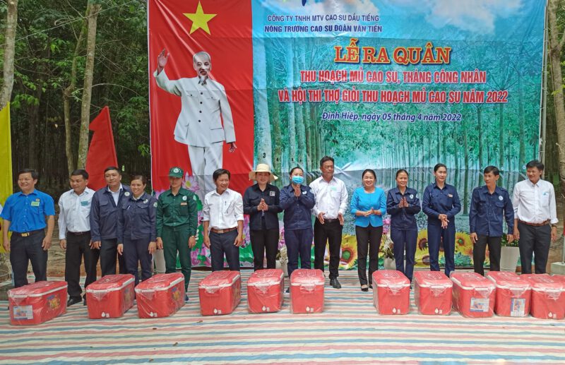 Nông trường cao su Đoàn Văn Tiến (Công ty TNHH MTV Cao su Dầu Tiếng) tổ chức hội thi thợ giỏi thu hoạch mủ cao su năm 2022