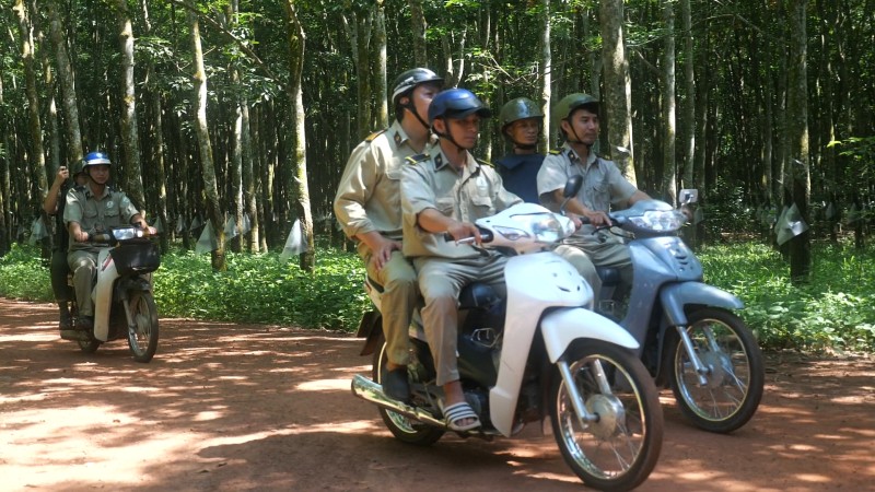 Nông trường Minh Hòa: Đảm bảo tốt công tác phối hợp bảo vệ tài sản góp phần hoàn thành nhiệm vụ sản xuất